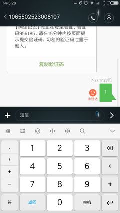 为什么回复106号段短信发不出去？改用专业短信服务是关键